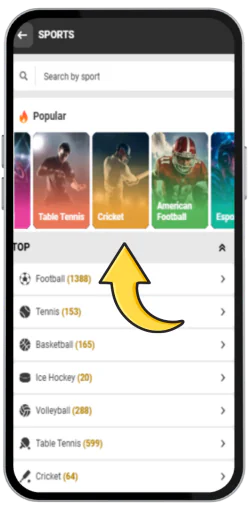 All sports